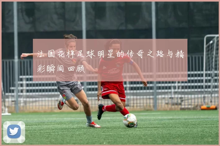 法国花样足球明星的传奇之路与精彩瞬间回顾