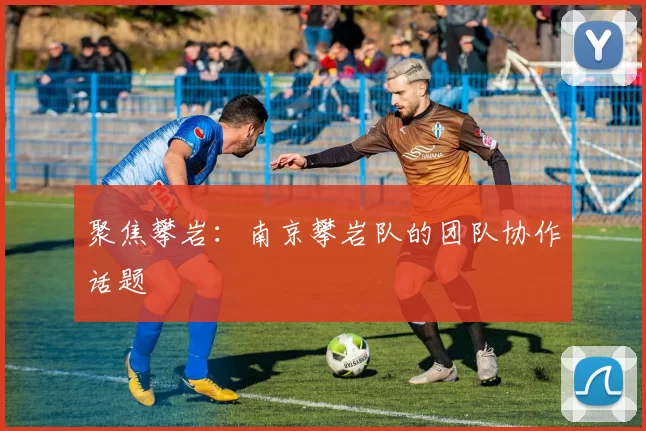 聚焦攀岩：南京攀岩队的团队协作话题