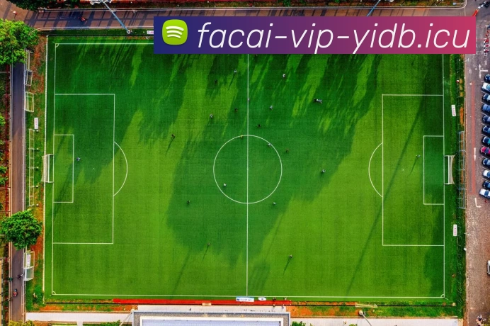 星空体育注册发展历程